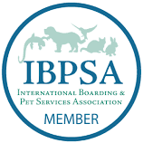 International Boarding Badge