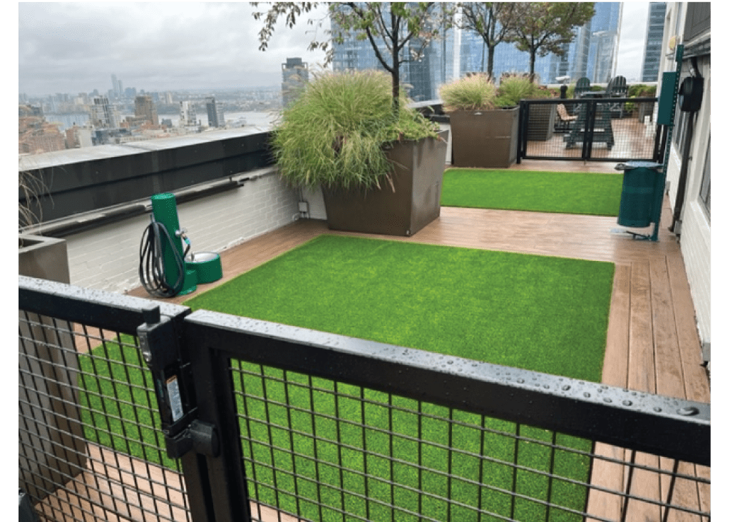 NYC-Penn-Station-Roof-Top-Dog-Potty-Area.png