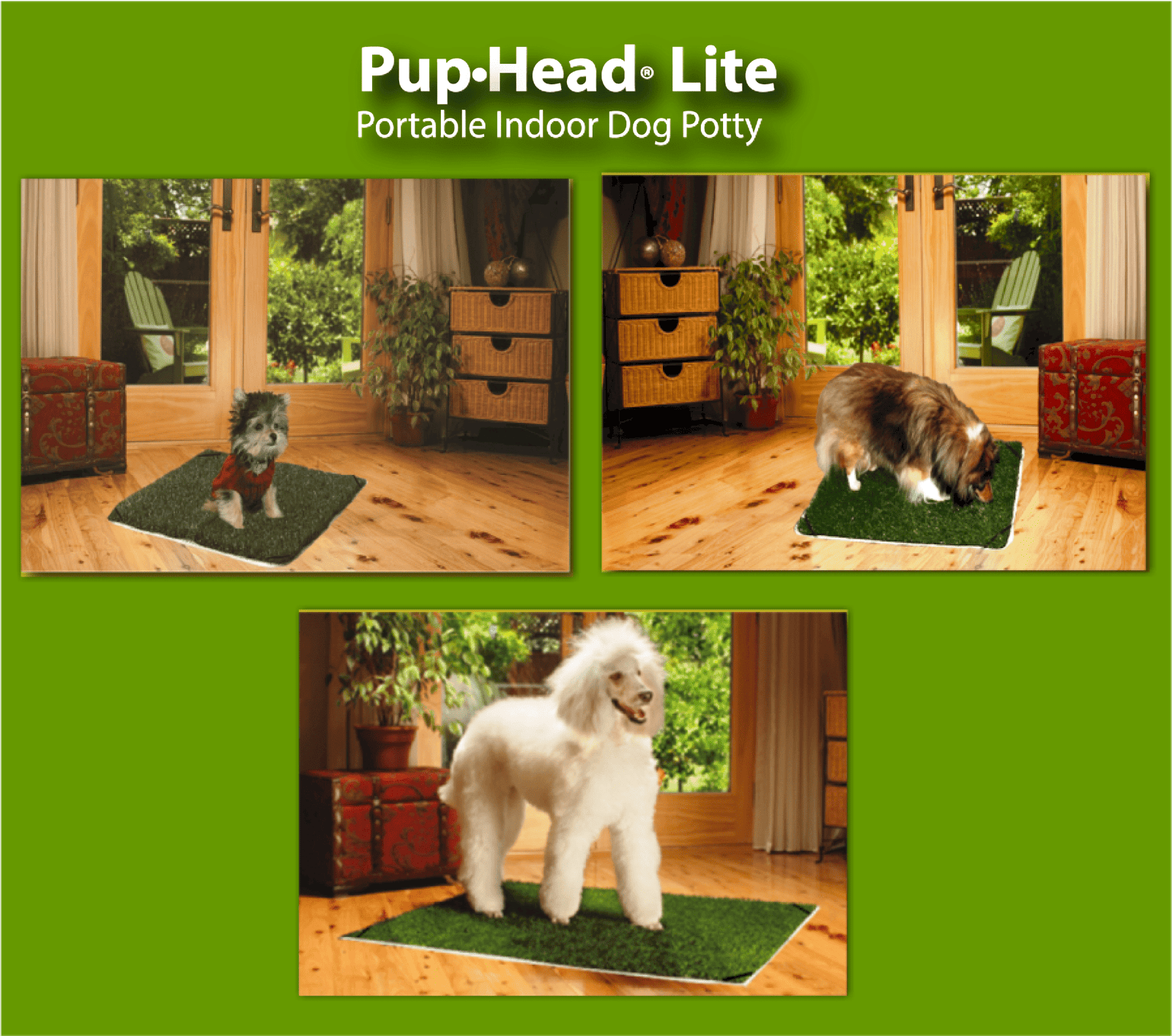 Portable dog Potty ?Featuring -Pup-Grass